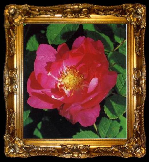 framed  unknow artist Still life floral, all kinds of reality flowers oil painting 339, ta009-2